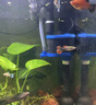 格池（GRECH）格池潛水泵抽水泵CQJ-500G款 2.5W 凈水增氧過濾泵三合一過濾水泵 曬單實(shí)拍圖