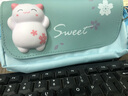 解壓筆袋文具盒小學(xué)生可愛文具包小女孩手提花邊筆袋新款流行高顏值少女心鉛筆盒女生雙層鉛筆袋 解壓款 藍(lán)色萌貓 曬單實(shí)拍圖