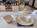 彼物（BEAU）天福茗茶旅行茶具 玻璃茶具套裝杯壺一體便攜車載快客杯蓋碗 春華快客杯 3件 曬單實(shí)拍圖