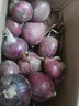廣供天下 農(nóng)家自種紫皮洋蔥笨洋蔥新洋蔥農(nóng)家現(xiàn)挖時(shí)令蔬菜小洋蔥 紫皮洋蔥 4.5斤 曬單實(shí)拍圖