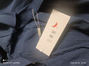紅蜻蜓（RED DRAGONFLY）襯衫男時(shí)尚百搭棉質(zhì)短袖打底襯衣男裝上衣 藏青色（短袖） 4XL 曬單實(shí)拍圖