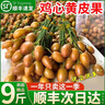 四叔公果蔬金獎·雞心黃皮果【JD閃送】廣東新鮮雞心果當季送禮水果禮盒 （自吃推薦-顆顆精品）鎖鮮裝 5斤裝【家庭分享-超劃算】?jì)?斤 曬單實(shí)拍圖