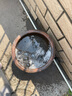 呈普西 墻排馬桶排污管 后排水硅膠側(cè)排坐便器連接管下水管道配件 曬單實拍圖