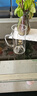 成州紅川酒 46度飛天成州酒官方濃香型純糧白酒佳節(jié)送禮自飲甘肅名酒 46度 500mL 4瓶 （整箱） 曬單實(shí)拍圖