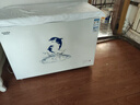 澳柯瑪（AUCMA）307升減霜冰柜家用大容量冷藏柜冷凍柜 臥式冷柜冰箱雪糕柜一級能效 BC/BD-307HNE 國家補貼20% 曬單實拍圖