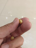 豪珠 天然駱駝骨108顆手鏈 三花血絲桶珠手串 未脫脂藏式駝骨念珠佛珠 天然三花橫紋桶珠9*8MM*108顆 曬單實(shí)拍圖
