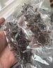頤口福大連鮮活即食海參鮮食特級海參蔥燒海參佛跳墻禮盒包郵中秋送禮 2斤大連即食海參（15-18只/斤） 曬單實(shí)拍圖