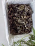 京鮮生 新鮮干巴菌500g 野生干巴菌云南特產(chǎn)精選新鮮野生菌菇 源頭直發(fā) 曬單實(shí)拍圖