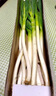 山東章丘大蔥新鮮9斤正宗鐵桿大蔥特產(chǎn)甜脆小蔥5斤蔬菜蔥姜蒜 整箱 5斤 帶皮去半葉【易保存】 曬單實拍圖