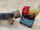 Orijen渴望狗糧 六種魚 成犬幼犬全價魚肉美毛進(jìn)口犬糧2kg效期25/9 曬單實拍圖
