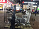 可麗金膠卷面霜蘊(yùn)活提拉緊塑抗皺緊致滋養(yǎng)精萃霜保濕送女朋友生日禮物 可麗金膠卷面霜50g【抗皺緊致】 曬單實(shí)拍圖