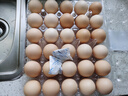 【無抗】大碼鮮雞蛋1.8kg 曬單實拍圖