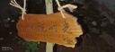 星翌定制實(shí)木菜地花草木質(zhì)警示標識牌木制幼兒園民宿花園種植提示掛牌 樣A 復古色30x13 曬單實(shí)拍圖