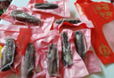 參王朝 大連直發(fā)冷凍冷蒸即食海參遼刺參海鮮水產(chǎn)中秋禮品盒 1500g 30-36頭 7A級 曬單實(shí)拍圖