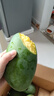 京覓四川凱特芒果新鮮水果凈重8斤單果410g+源頭直發(fā)包郵 曬單實(shí)拍圖