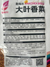 四季播種大葉香菜種子農(nóng)家老品種芫荽種籽四季陽臺盆栽地栽香菜種 香菜種子【1包約500粒】 原廠封裝 曬單實拍圖