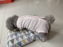 MIKI PAD狗狗衣服春夏季薄款包護肚衣絕育服術(shù)后防舔貓咪衣服透氣防掉毛 背心護肚衣-粉色#可做絕育服 XXS 胸圍26背長(cháng)16（建議1-2斤） 曬單實(shí)拍圖