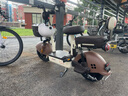 臺鈴電動自行車【國家補貼】小錦鯉50公里長續(xù)航電動車鉛酸電池48V13Ah電瓶車新國標彩深棕 曬單實拍圖