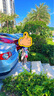 幸?，旣悾–heerful Mario）男童拖鞋2025新款夏季男孩兒童洞洞鞋防滑中大童外穿沙灘鞋涼拖鞋 曬單實(shí)拍圖