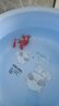 紅金魚活魚觀賞魚小金魚活體魚苗小苗魚招財魚風水魚淡水魚冷水魚 【四季發(fā)財】4條5-8CM招財紅金魚 曬單實拍圖