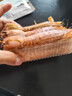 皮皮蝦鮮活一名蝦爬子超大皮皮蝦海鮮海蝦新鮮蒸熟全母帶膏皮皮蝦 特大號公皮皮12-16cm】 0g(凈重)  一斤裝【一人不夠吃 不推薦X】 曬單實(shí)拍圖