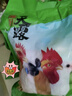 溫氏供港農(nóng)養(yǎng)大公雞2.8斤 高品質(zhì) 冷凍土雞散養(yǎng)走地雞炒雞 整雞 曬單實拍圖