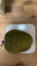【保4房肉】A級進口金枕鮮榴蓮1粒2-2.5kg(M) 曬單實拍圖