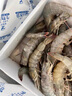 龍霸水產(chǎn)氣凍青島大蝦只只分離新鮮大號冷凍海蝦海捕大蝦對蝦盒裝1400g(純蝦去冰凈重2.8斤)30/40 曬單實(shí)拍圖