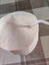 佳沃 JOYVIO泰國易開椰子椰青 9個原箱裝 大果850g+ 禮盒 新鮮水果 源頭直發(fā) 曬單實拍圖