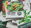 北蔬 西紅柿種子種苗盆栽小果大果番茄蔬菜種籽 8種西紅柿種子組合 曬單實(shí)拍圖