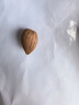 拾善方熟杏仁原味無添加無糖南炒大甜杏仁干果正宗堅果零食的功效與作用 曬單實拍圖