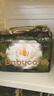 babycare山茶花嬰兒隔尿墊一次性新生兒防水透氣護理墊M碼38片 曬單實拍圖