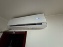 海爾（Haier）空調(diào)新一級能效雷神者2P/3匹變頻冷暖臥室防直吹壁掛式空調(diào)自清潔3D除菌艙全域恒溫WIFI防直吹智控 3匹 一級能效 大風(fēng)量+三翼導(dǎo)風(fēng)+紫外線殺菌 曬單實拍圖