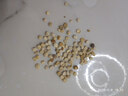 長(zhǎng)白山人參種子野山參種子四季易種中藥材易活室內(nèi)觀花卉盆栽 長(zhǎng)白山人參種子【新種】 新種：【約300粒】 曬單實(shí)拍圖