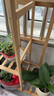 沐霓花架子花盆架落地楠竹置物架左右家用陽(yáng)臺客廳裝飾綠蘿盆栽收納架 花架【六層加輪】 曬單實(shí)拍圖