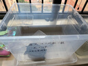 HKML家用烏龜缸大型鱷龜巴西龜專用生態(tài)塑料烏龜周轉(zhuǎn)箱高透明仿玻璃缸 食品級(jí)加厚【透明中號(hào)高款80#L】 曬單實(shí)拍圖
