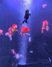 ds迪順魚缸2025新款超白玻璃底濾金魚缸水族箱落地客廳家用魚缸 亮光黑底濾（升級七色變光） 40*40*125cm 缸高70 底濾 曬單實拍圖