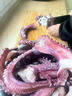 新鮮魷魚(yú)須脆口無(wú)冰章魚(yú)足新鮮速凍海鮮海貨魷魚(yú)足海鮮水產(chǎn) 精選脆口魷魚(yú)須 500克(凈重)  高品質(zhì)脆口魷魚(yú)須(2斤裝) 曬單實(shí)拍圖
