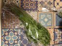 帶根香菜100g 曬單實(shí)拍圖