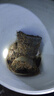 天火頭戴式照明燈照蝎子專用燈強光頭燈超長續(xù)航紫光燈戶外充電露營燈 升級四燈芯|變焦感應(yīng)|10000毫安 曬單實拍圖