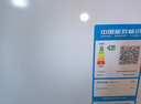 海爾（Haier）200升小冰柜家用商用 冷藏柜冷凍柜兩用冰柜小型租房用小冰箱小型冷柜BC/BD-200GHTA 曬單實拍圖