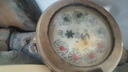 佳能 鏡頭保護(hù)鏡 UV鏡 濾鏡 單反微單鏡頭保護(hù)鏡片 適用于佳能/索尼/尼康/富士單反微單鏡頭 原裝uv鏡 國(guó)產(chǎn) UV 67mm 曬單搶好禮 曬單實(shí)拍圖