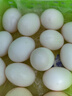 硒全食美 富硒新鮮鴿子蛋  12枚  220g  鴿蛋 曬單實(shí)拍圖