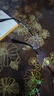 目視達高清防藍(lán)光老花鏡男商務(wù)半框顯年輕中老年放大看近專用老光眼鏡女 黑色防藍(lán)光老花+200度 (55-57歲) 曬單實拍圖