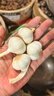 腌制糖醋蒜專用2025新蒜正宗山東臨沂正宗白皮鮮蒜白皮大蒜頭嫩蒜 加箱子五斤二兩凈重四斤八兩 40以下小果 曬單實(shí)拍圖