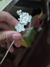 老鳳祥S925銀發(fā)簪女士梅花簪子古風(fēng)流蘇步搖發(fā)釵女士生日禮物女生實(shí)用 傲雪寒梅銀發(fā)簪 曬單實(shí)拍圖