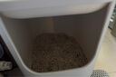 無印良品（MUJI）聚丙烯 附蓋貓砂盆 寵物用品 貓廁所 陽臺(tái) 半封閉 PAH7CC3S 白色 曬單實(shí)拍圖