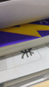 【官方旗艦店】備考2025.12四級詞匯閃過大學(xué)英語四六級詞匯書四級真題閃過巨微歷年真題試卷逐句精解真題解析英語四級備考資料 六級詞匯閃過【劃重點(diǎn) 考頻記憶】 曬單實拍圖