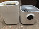 美的（Midea）【母嬰認(rèn)證】甲醛數(shù)顯空氣凈化器除醛除煙味異味過(guò)敏源寵物吸貓毛空氣消毒機(jī)森林家L1pro國(guó)家補(bǔ)貼 曬單實(shí)拍圖