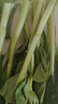 鹿凌青新鮮霜凍青菜苔 菜心白菜苔 甜糯嫩菜心 菜心綠色新鮮發(fā)順豐 5斤裝（泡沫箱） 曬單實(shí)拍圖